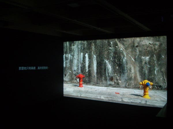 installation view